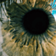clear eye